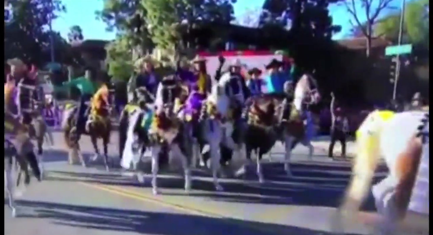 Scripps Miramar Saddlebred Horses
